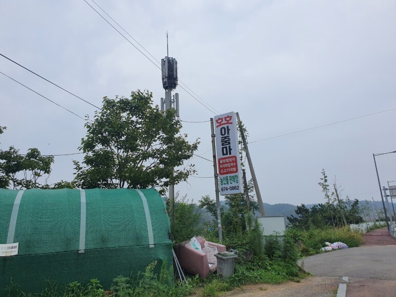 호호맛집 이미지