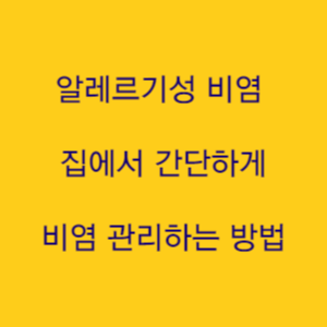  알레르기성 비염 그 원인과 해결책 집에서 할 수 있는 최고의 관리 방법