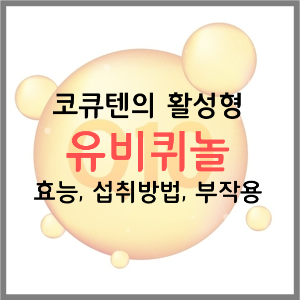  유비퀴놀 효능 함유 식품 섭취방법 섭취량 부작용(코엔자임 Q10과 유비퀴놀의 차이)