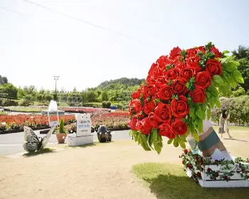 울산대공원 장미축제_4