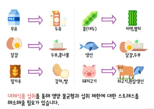 알레르기 대체 식품