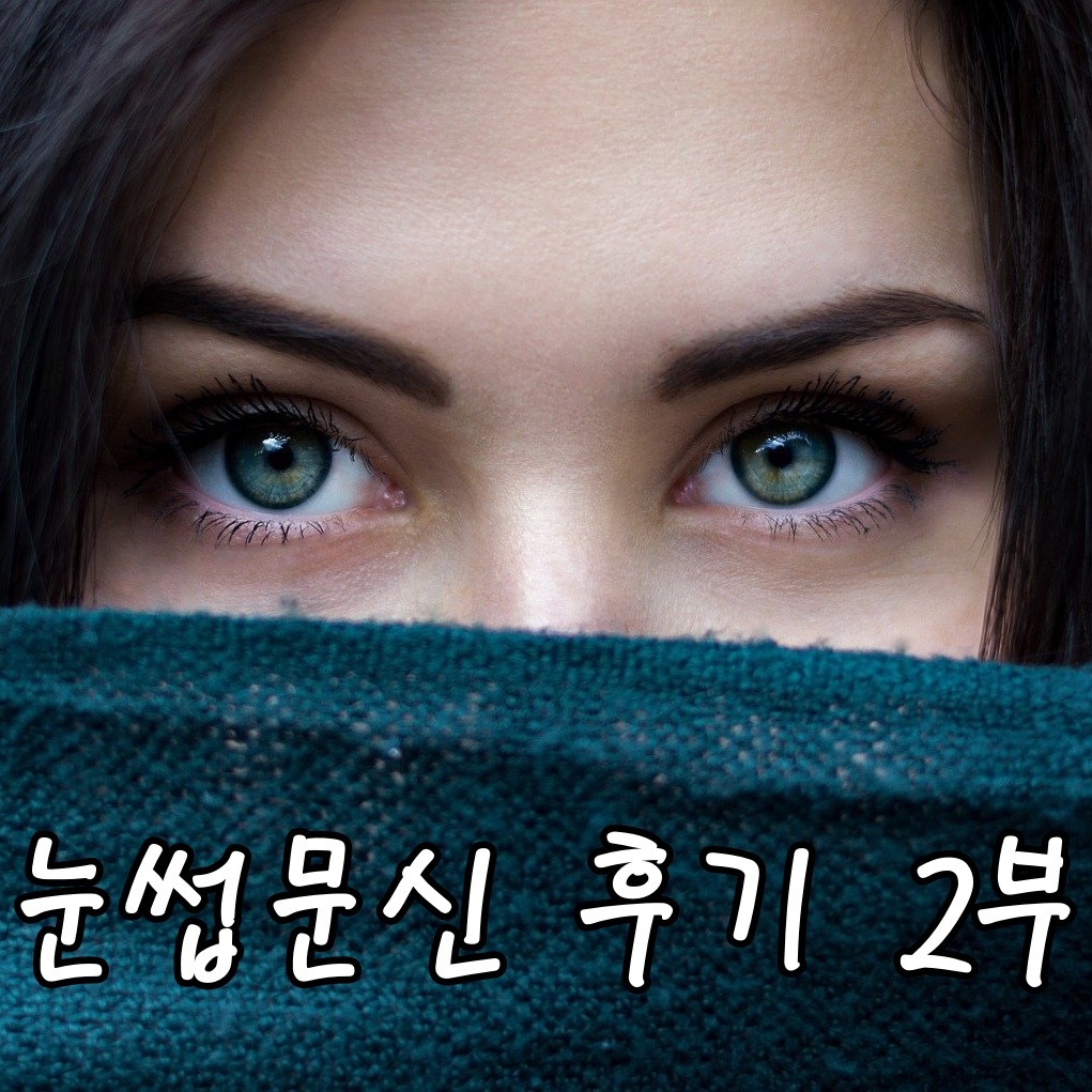  강남 눈썹문신 후기! 눈썹문신 주의사항과 불만족 케이스, 내가 받은 샵 소개- 내돈내산 눈썹문신 2부