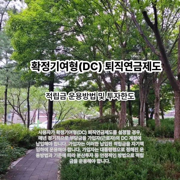 DC형 퇴직연금제도 적립금 운용방법 및 투자한도를 설명하는 썸네일