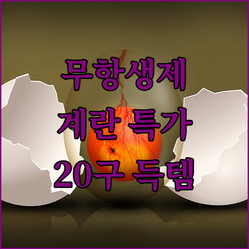 싱싱한 무항생제 계란, 20구 특가!