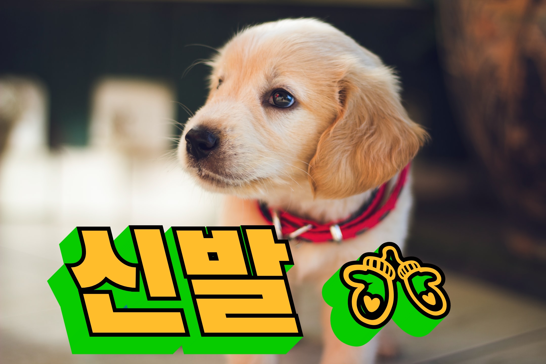  잘팔리는 남자캠퍼신발  10위추천 리스트입니다.