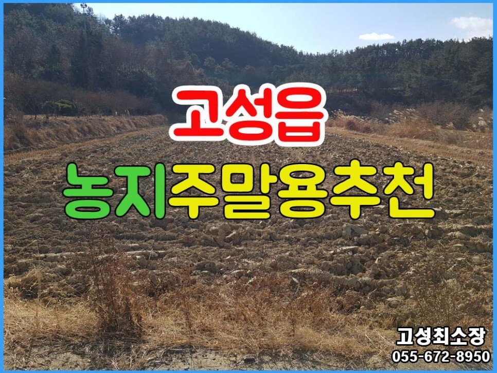  (고성읍) 경남고성부동산토지매매 심심풀이 주말용토지, 농지원부용 농지매매