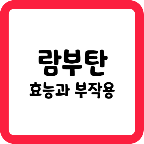 람부탄의 효능과 부작용