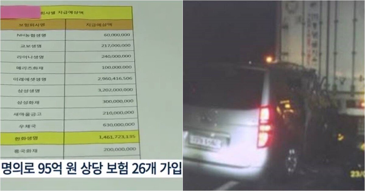  캄보디아 만삭아내 95억 보험금 살인/사망 사건