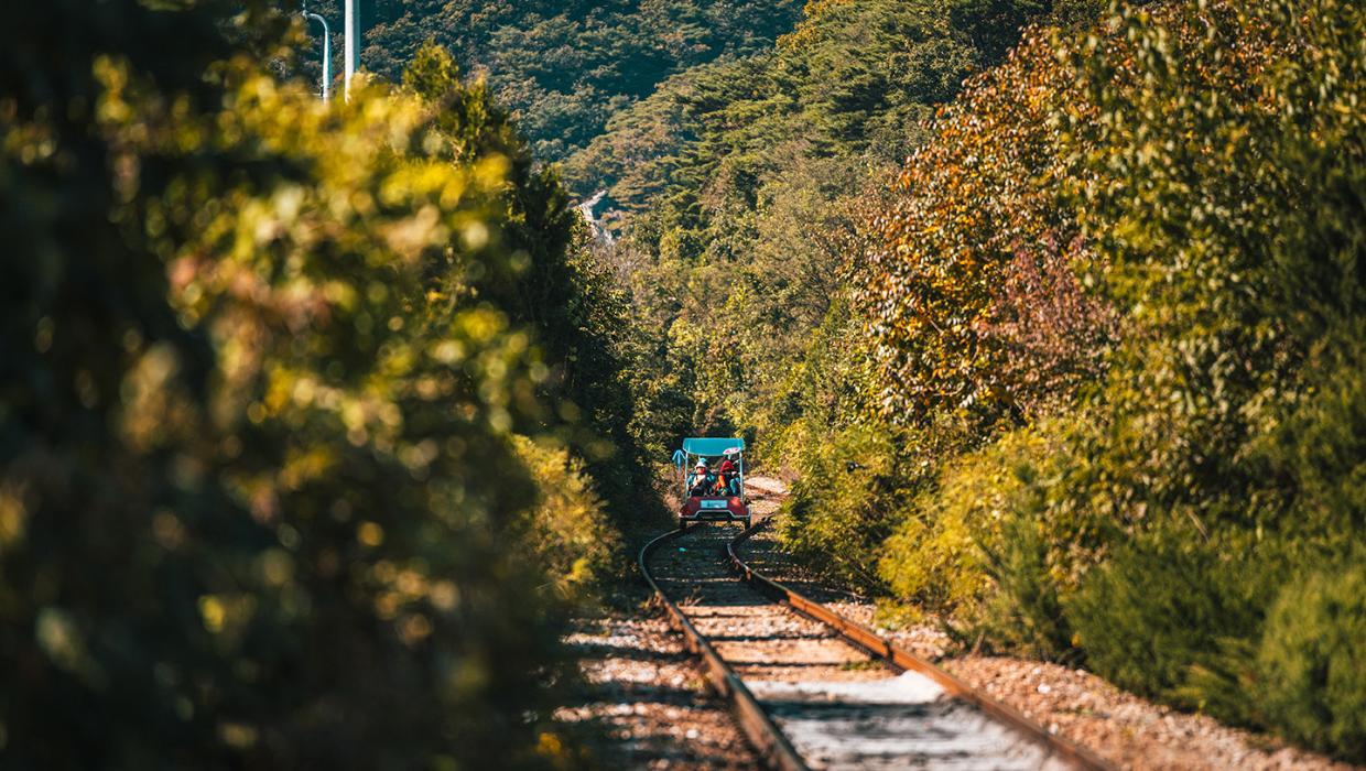 원주 레일파크