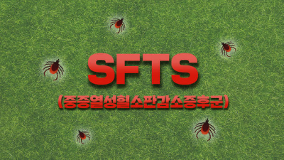  SFTS바이러스 쯔쯔가무시 증상 치료 예방법