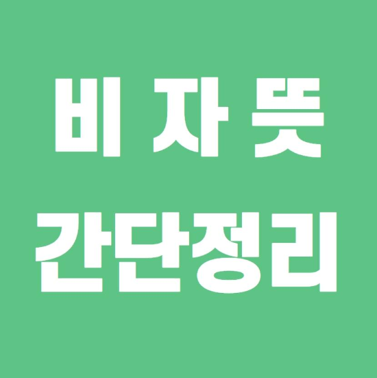  비자뜻 확실한 정리!