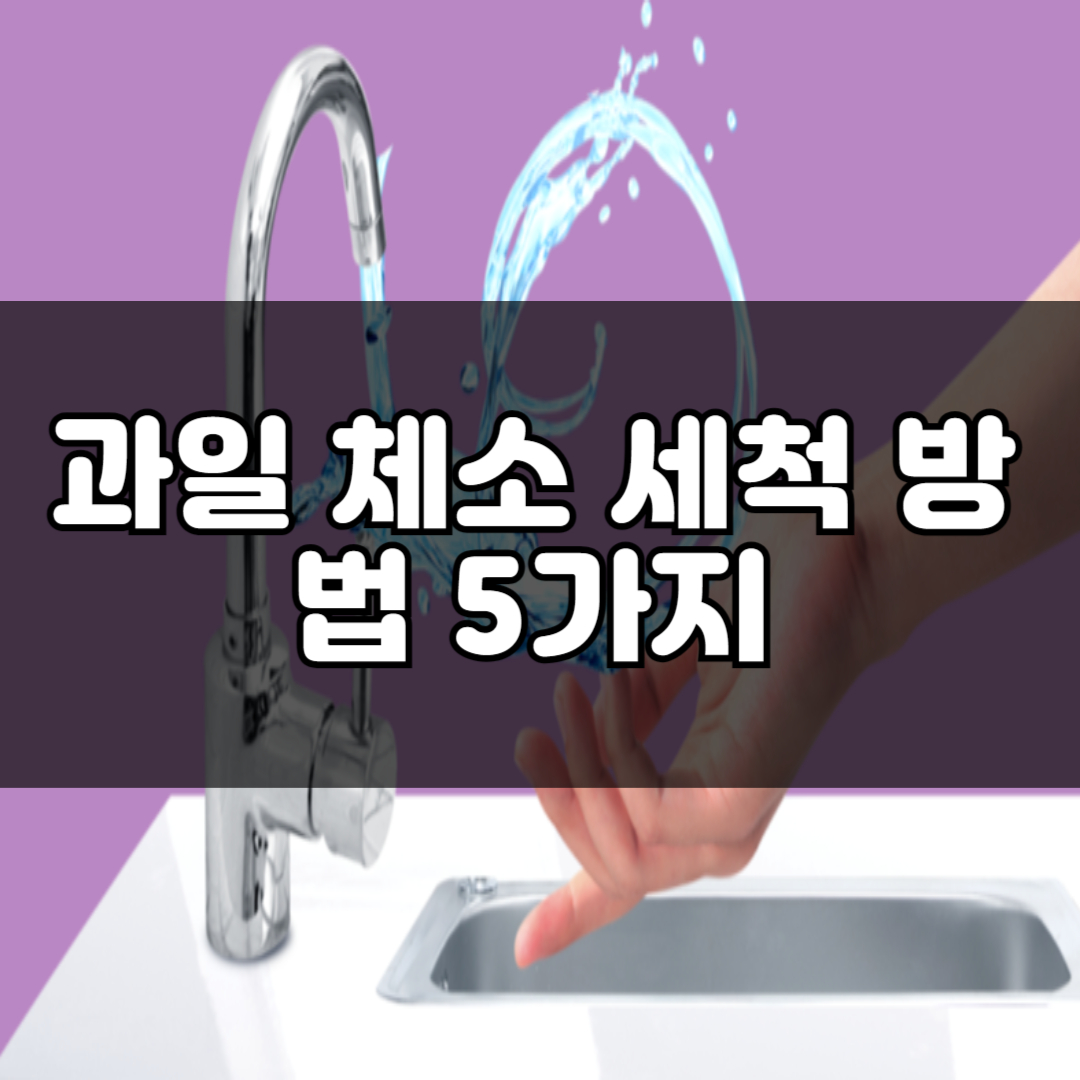 식중독 원인 5가지, 과일 체소 세척 보관 방법, 의외로 배탈 잘 나는 음식은?