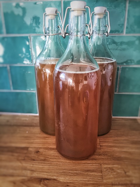 콤부차 (Kombucha)