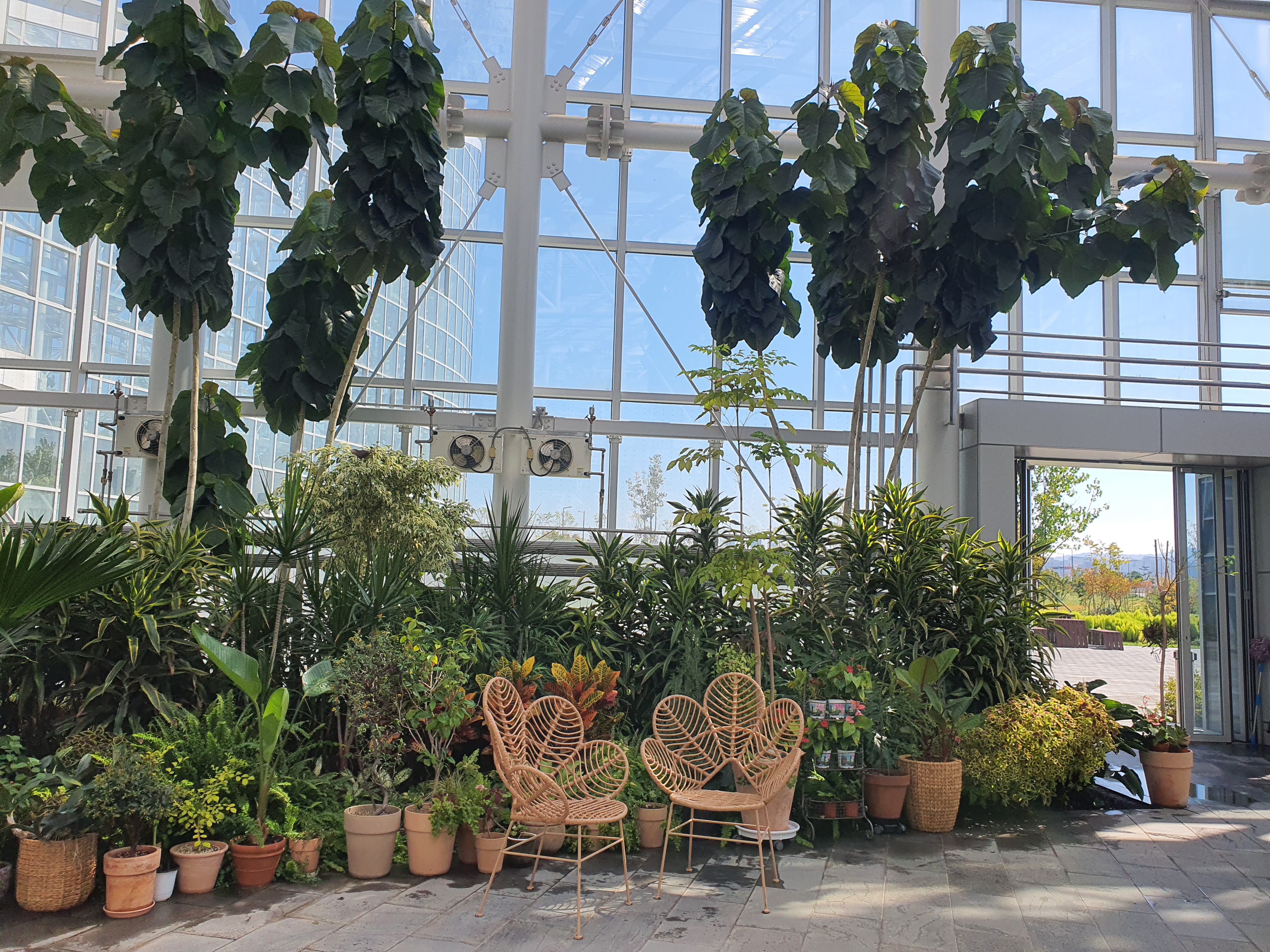 국립세종수목원 야간 개장 이용 안내 할인 혜택 세종 가볼만한 곳