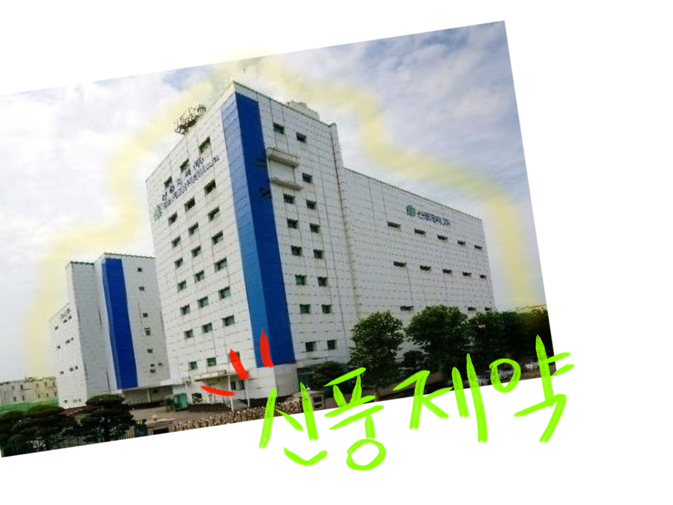  신풍제약 , 먹는 코로나19 치료제 피라맥스