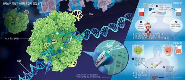  cas9