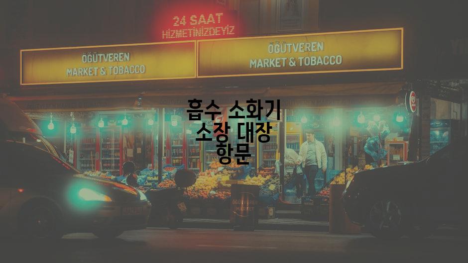 흡수 소화기 소장 대장 항문
