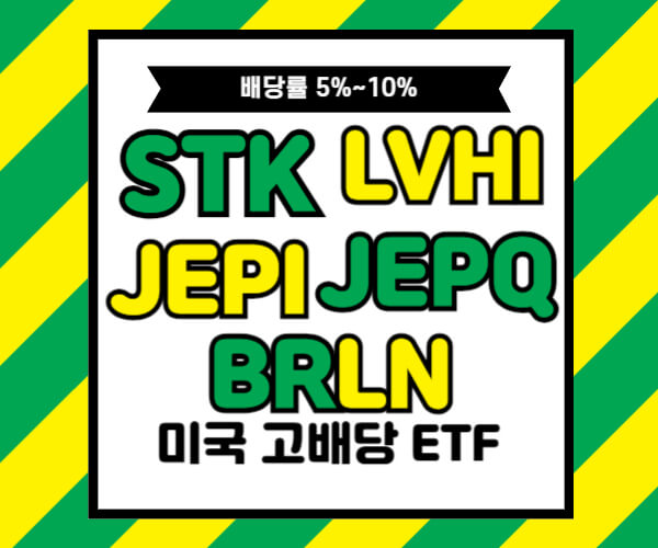 미국 고배당 ETF STK LVHI JEPI JEPQ BRLN