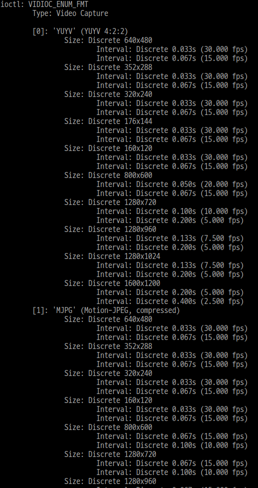 사용할 내 usb 캠 정보