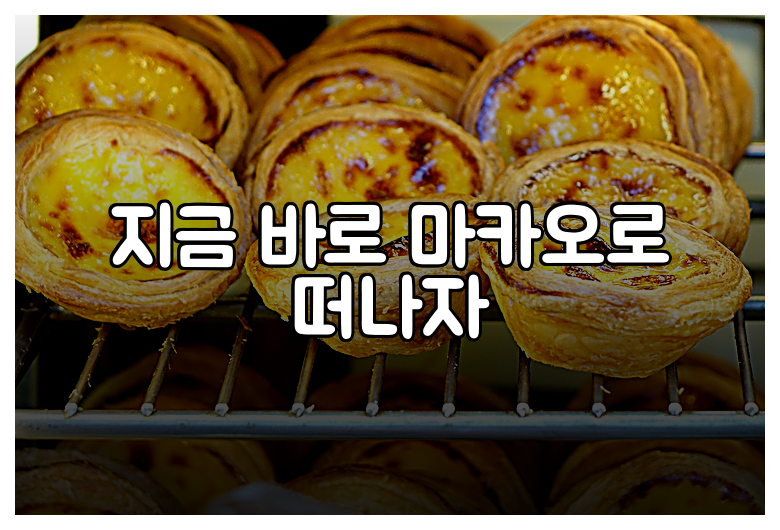 지금 바로 마카오로 떠나자