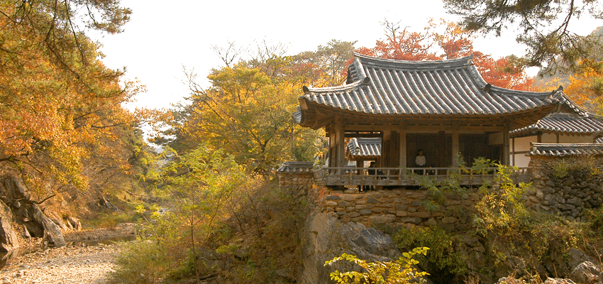 초간정