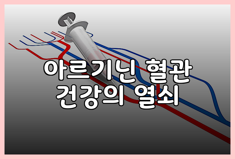 아르기닌 혈관 건강의 열쇠