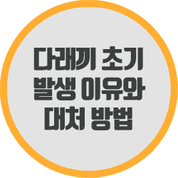  다래끼 초기 증상 확인하고 빠르게 대처해 봅시다.