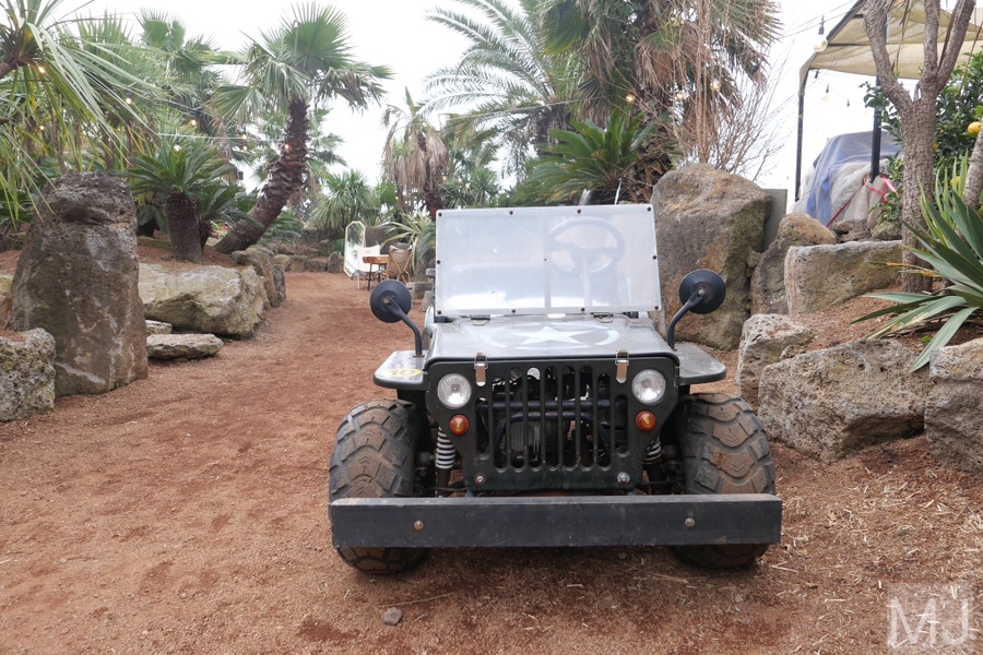 어린왕자 체험 in 감귤밭 카페 43