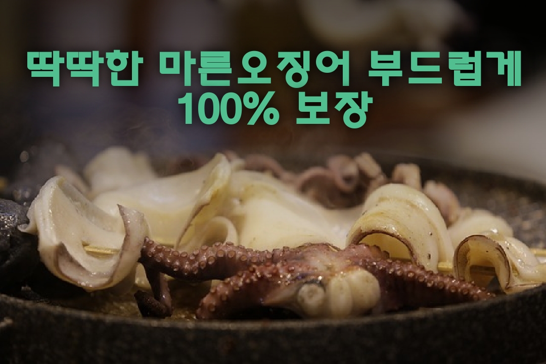  마른 오징어 부드럽게 딱딱한 오징어도 100% 보장