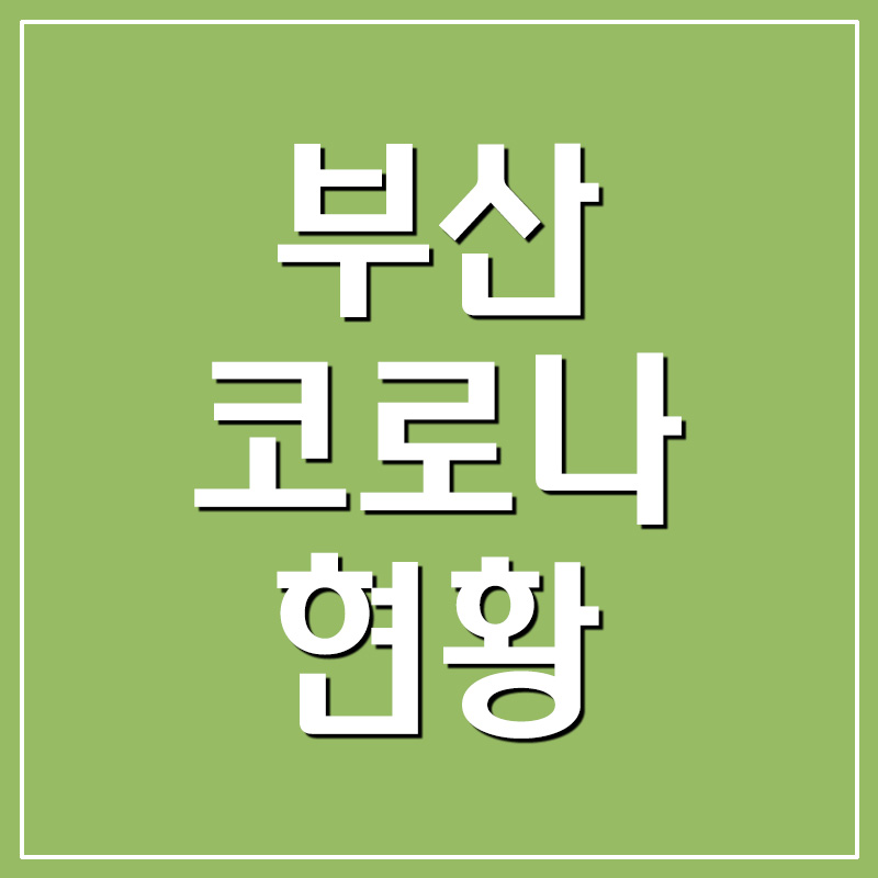  부산 코로나 확진자 현황