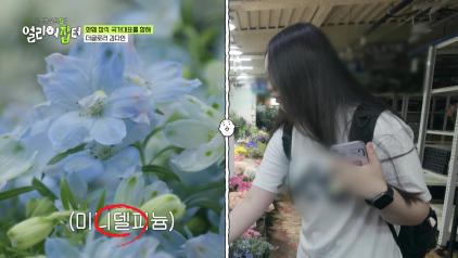 방송 보고 처음 안 화훼장식 국가대표 jpg | 인스티즈