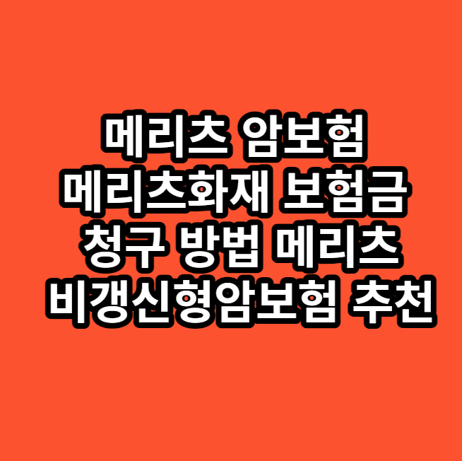 메리츠화재암보험