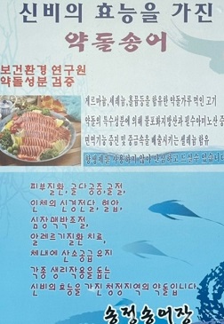 약돌송어