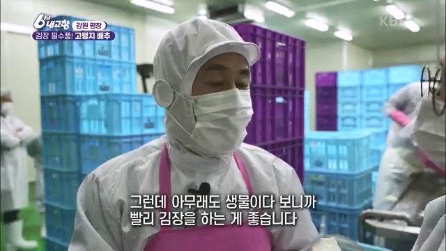 6시 내고향_김장의 필수품 평창 고랭지 배추 - 강원 평창 [슬기로운 두 반장] 슬기로운 어르신들을 찾아서 (충북 제천) [붕붕이가 간다] 철원에 무슨 일이 (강원 철원) [인생은 행복海] 우리는 환상의 사촌 (경남 통영).ts_20231117_202052.426.jpg