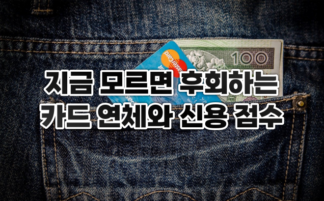  지금 모르면 후회하는 카드 연체와 신용점수