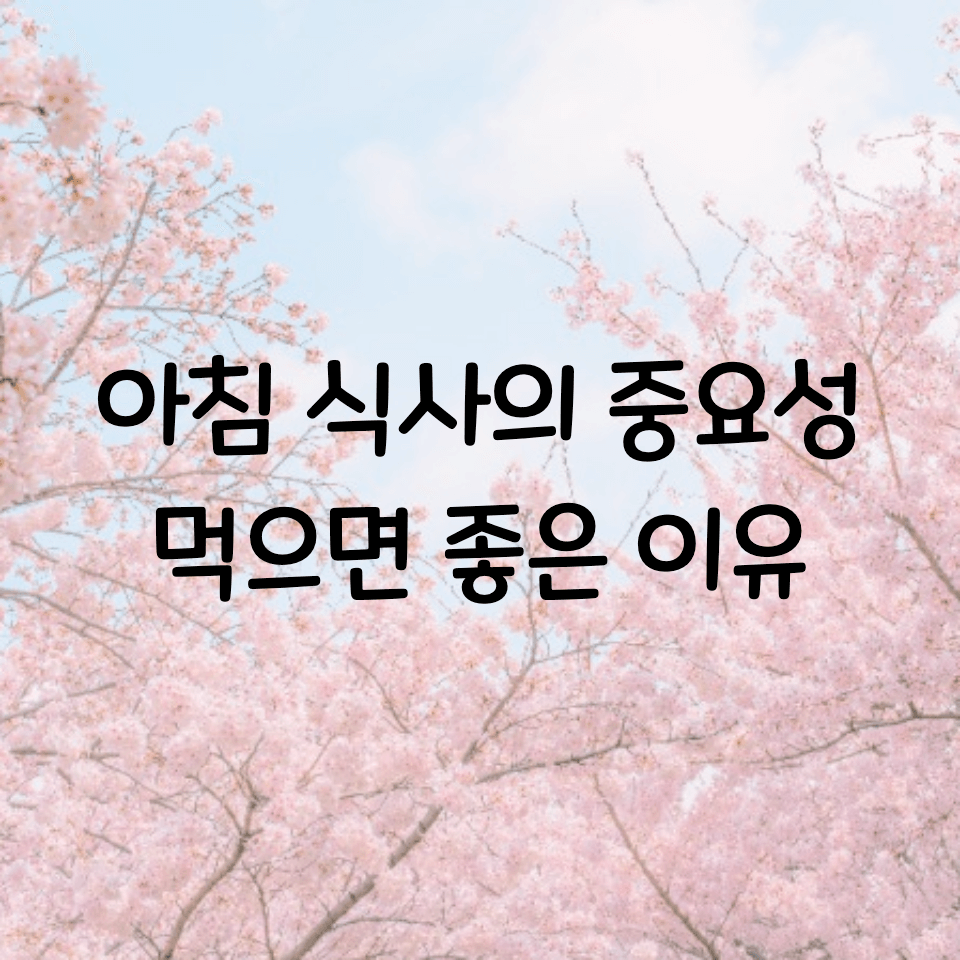  아침식사의 중요성 및 효과 정리