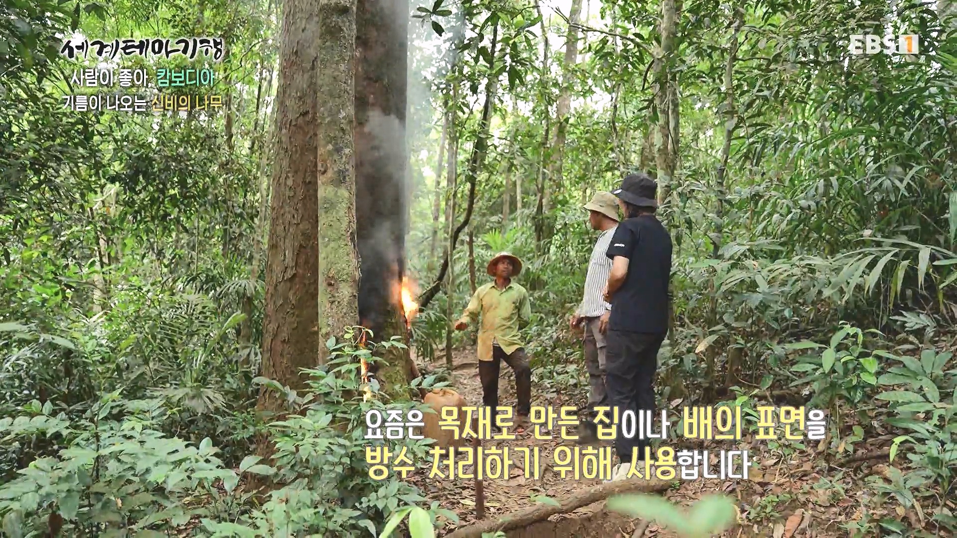 세계테마기행 240205 사람이 좋아, 캄보디아 -즐거운 나의 집, 몬둘키리0p.mp4_20240729_194706.725.jpg