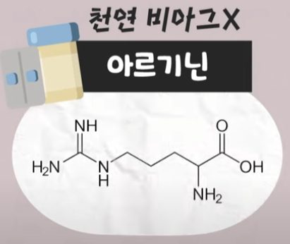  아르기닌 효능과 부작용 섭취방법 함께먹으면 좋은음식 총정리