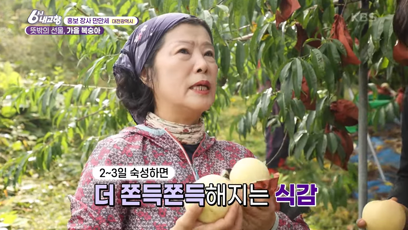 6시내고향 &amp;#39;설아복숭아&amp;#39; 이미지