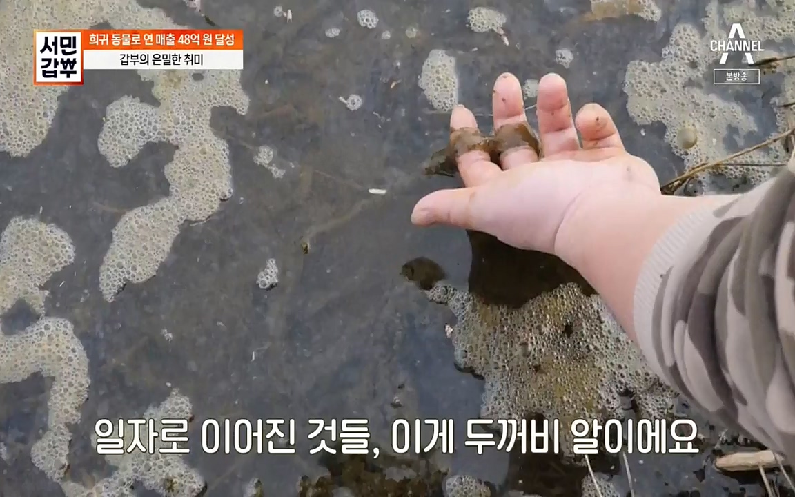 서민 갑부.E381.220431p-NEXT.mp4_20220501_180732.805.jpg