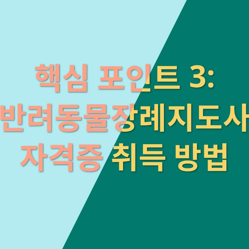 반려동물장례지도사_3