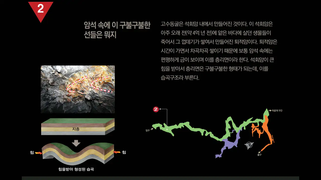 고수동굴 석회암