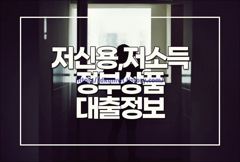  저신용자대출 정부 상품으로.