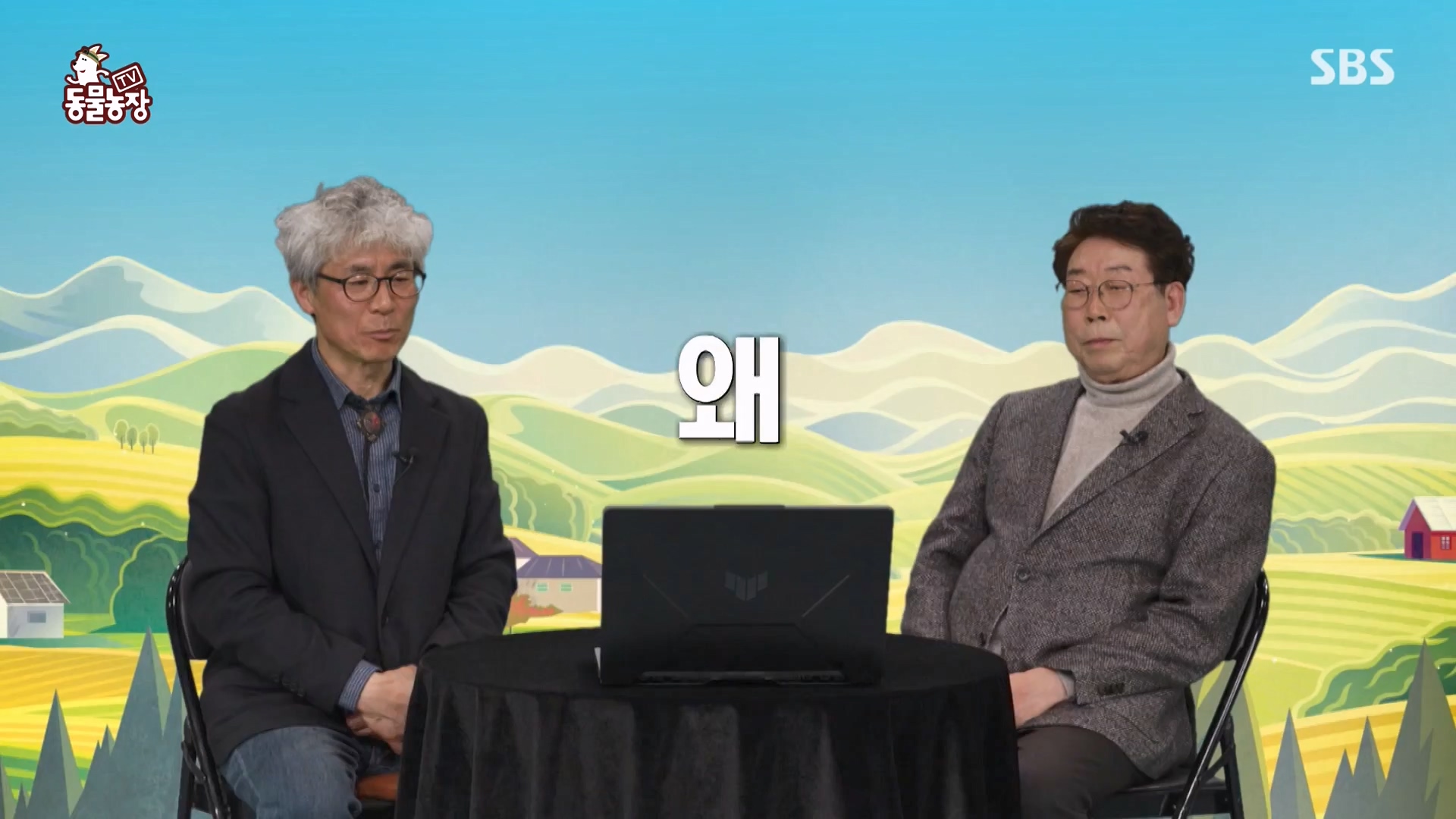 TV 동물농장.E1164.240324p-NEXT.mp4_20240324_170530.300.jpg