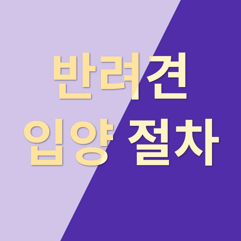반려견 입양_2