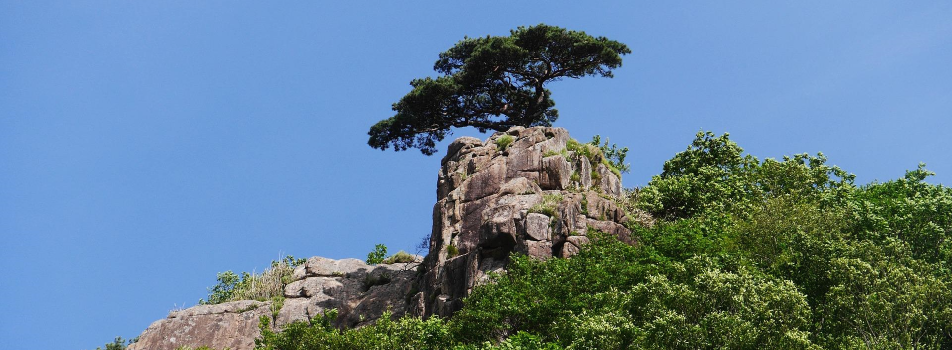  세종 충북 , 관광지 축제 공연행사, 연기 취소 정보(5/14일 기준)