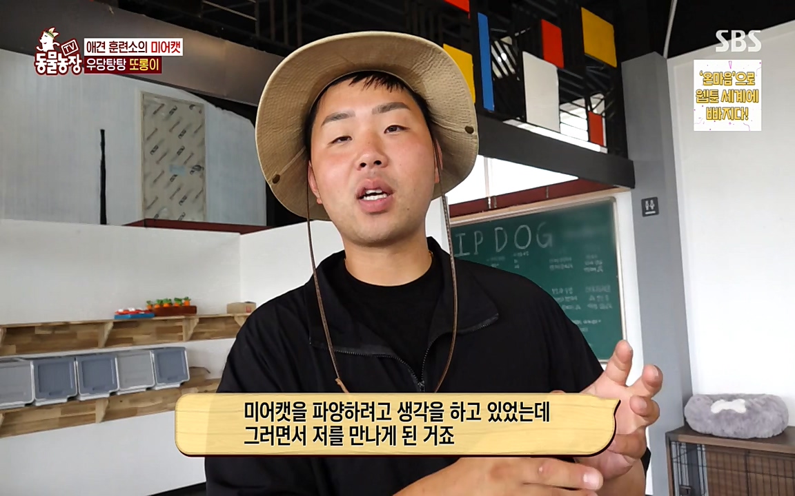 TV 동물농장.E1079.220725p-NEXT.mp4_20220724_151940.117.jpg