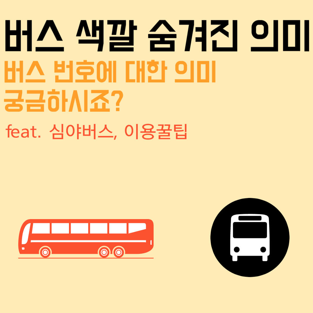  버스 색깔의 숨겨진 의미 알고계신가요? 버스 번호에 대한 규칙까지 대방출!! (feat. 심야버스, 이용꿀팁)