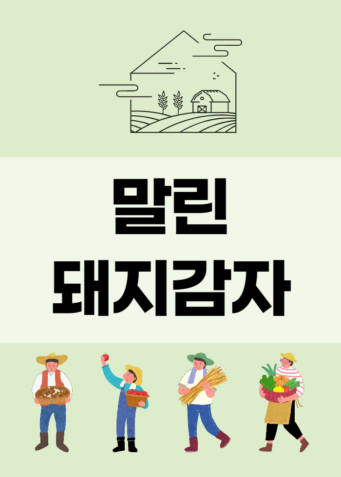  말린 돼지감자, 자색 돼지감자차 판매가격 안내