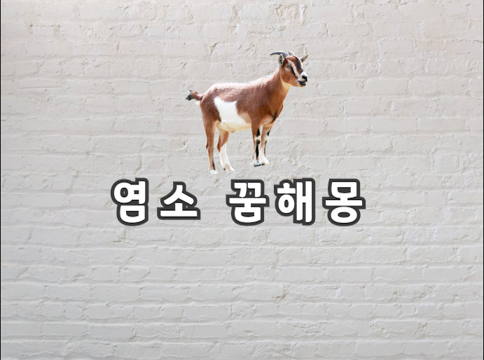  염소 꿈 염소 꿈해몽이 궁금하다면 보러오세요